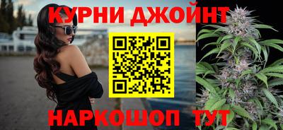 стафф Берёзовский