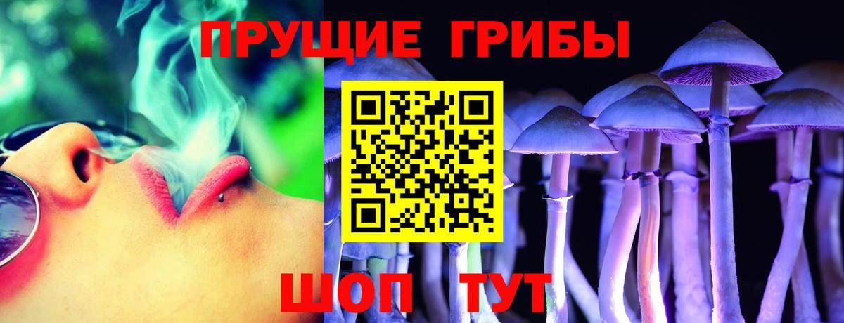 Галлюциногенные грибы Cubensis Благодарный
